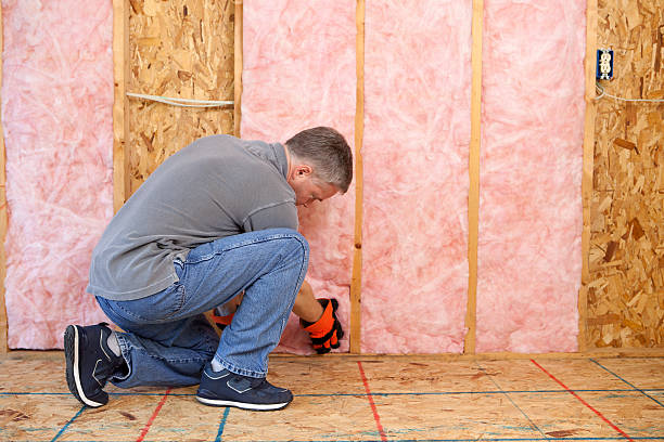 Professional Insulation Contractor in Forest Lake, IL