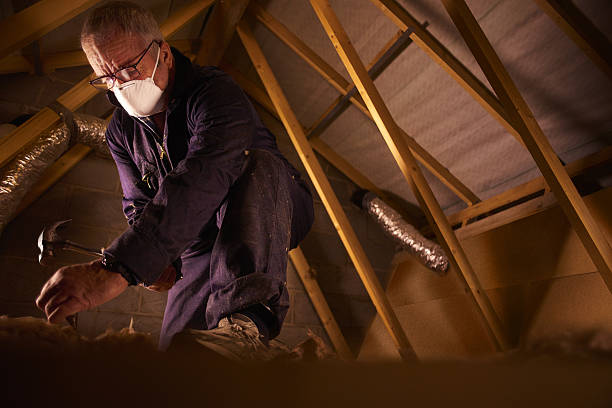 Types of Insulation We Offer in Forest Lake, IL